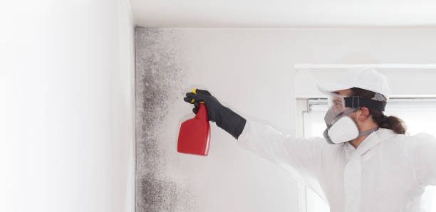 Crawl Space Mold Removal in Cambridge, IL